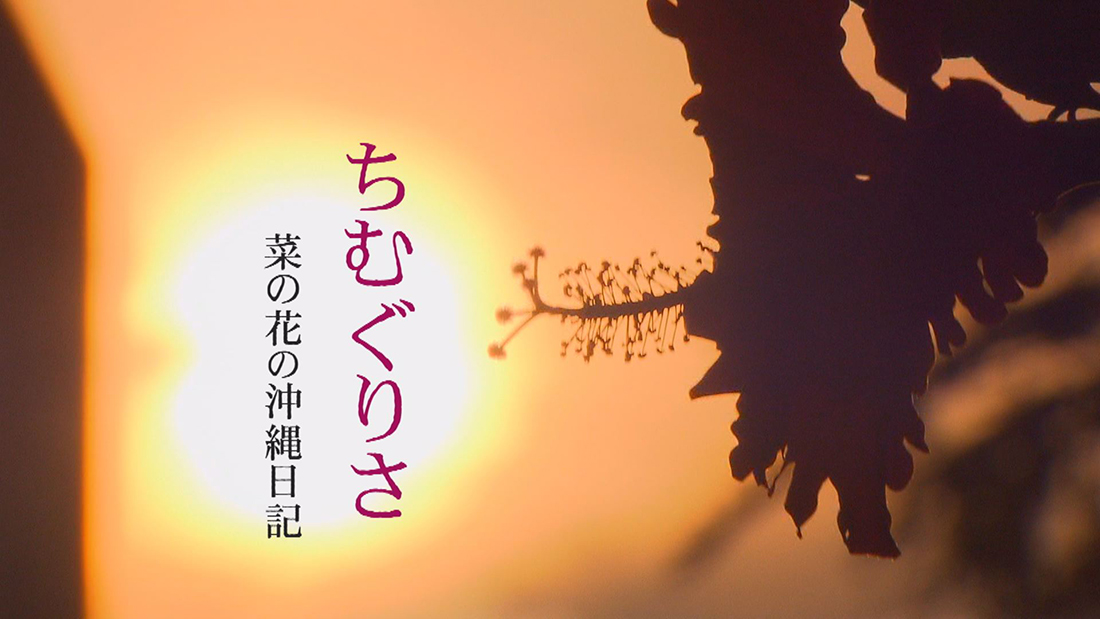 「菜の花の沖縄日記」より